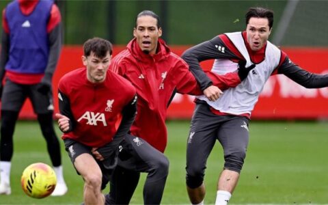 Tỷ lệ cược World Cup FB88 có đáng tin cậy không? Câu trả lời từ chuyên gia