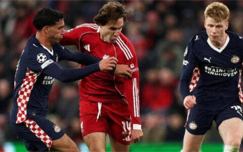 M88 dự đoán World Cup: Góc nhìn từ 8xbet và những bất ngờ thú vị