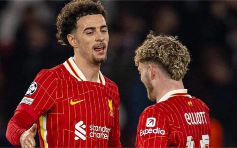 Ứng dụng di động cá cược World Cup có đáng tin không? Lời khuyên từ 8xbet